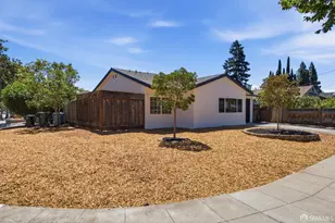 203 Margarita Ave, Palo Alto, CA 94306 - Photo 35
