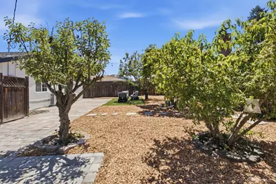 203 Margarita Avenue, Palo Alto, CA 94306 - Photo 29