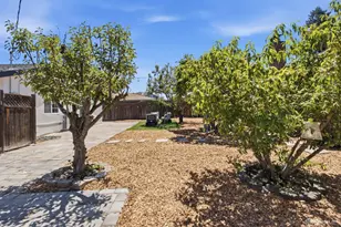203 Margarita Ave, Palo Alto, CA 94306 - Photo 29