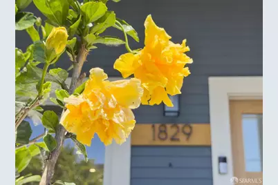1829 Channing Way, Berkeley, CA 94703 - Photo 35
