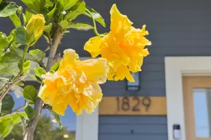 1829 Channing Way, Berkeley, CA 94703 - Photo 35