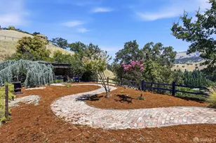 176 Mountain Canyon Ln, Alamo, CA 94507 - Photo 67
