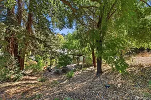1657 Springbrook Rd, Lafayette, CA 94549 - Photo 31