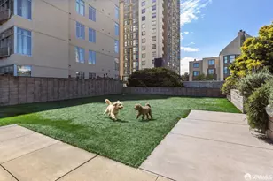 1310 Fillmore St, San Francisco, CA 94115 - Photo 5