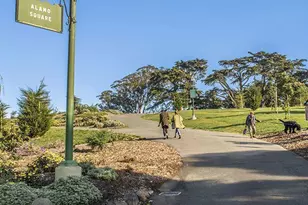 1310 Fillmore St, San Francisco, CA 94115 - Photo 47