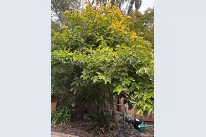 146 Pomona Avenue, El Cerrito, CA 94530 - Photo 7