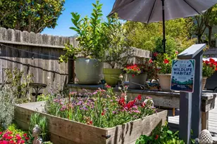 1459 Hayes St, San Francisco, CA 94117 - Photo 21