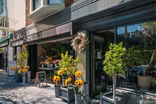 300 Avila St, San Francisco, CA 94123 - Photo 43