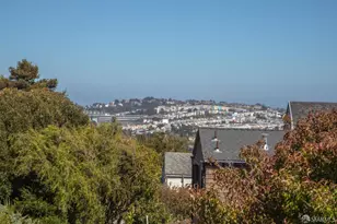 333 Holly Park Cir, San Francisco, CA 94110 - Photo 33