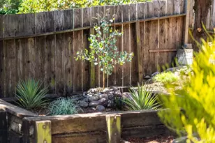 66 Buena Vista Terrace, San Francisco, CA 94117 - Photo 35