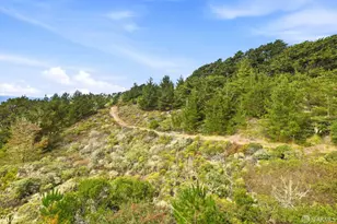 650 Viewridge Dr, Pacifica, CA 94044 - Photo 39