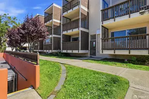 35 Lottie Bennett Ln, San Francisco, CA 94115 - Photo 29