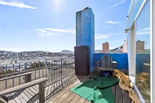 369 Franconia St, San Francisco, CA 94110 - Photo 21