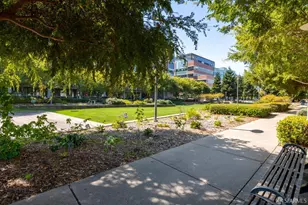 330 Mission Bay Blvd, San Francisco, CA 94158 - Photo 57