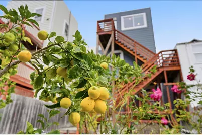 119 St Marys Avenue, San Francisco, CA 94112 - Photo 19