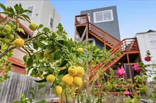 119 St Marys Ave, San Francisco, CA 94112 - Photo 19