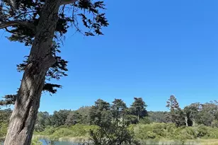 948 Lake St, San Francisco, CA 94118 - Photo 39