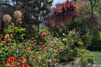 2441 Filbert Street, San Francisco, CA 94123 - Photo 63