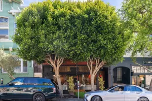 631 Spruce St, San Francisco, CA 94118 - Photo 61