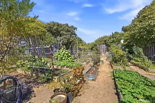 137 Arleta Ave, San Francisco, CA 94134 - Photo 39