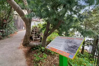 305 Virginia Avenue, San Francisco, CA 94110 - Photo 25