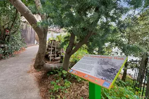 305 Virginia Ave, San Francisco, CA 94110 - Photo 25