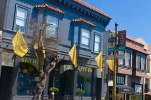 59 Heather Ave, San Francisco, CA 94118 - Photo 25