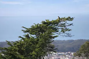 1789 14th Ave, San Francisco, CA 94122 - Photo 25