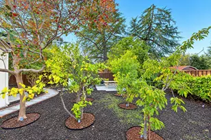 1487 El Camino Dr, Clayton, CA 94517 - Photo 45