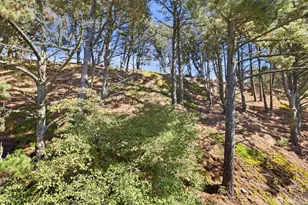 1008 San Antonio Cir, Daly City, CA 94014 - Photo 33