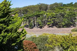 24 19th Ave, San Francisco, CA 94121 - Photo 69