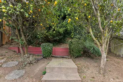 365 Gaven Street, San Francisco, CA 94134 - Photo 17