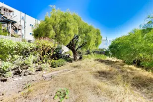 718 46th Ave, San Francisco, CA 94121 - Photo 35