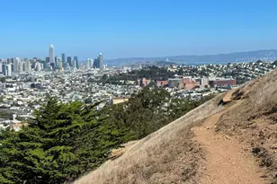 1005 Cortland Ave, San Francisco, CA 94110 - Photo 95