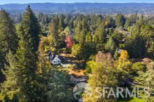 123 Stockbridge Ave, Atherton, CA 94027 - Photo 21