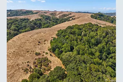 8875 Dublin Canyon Road, Castro Valley, CA 94552 - Photo 7