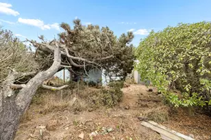 1901 48th Ave, San Francisco, CA 94116 - Photo 21
