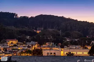 2822 Polk St, San Francisco, CA 94109 - Photo 39