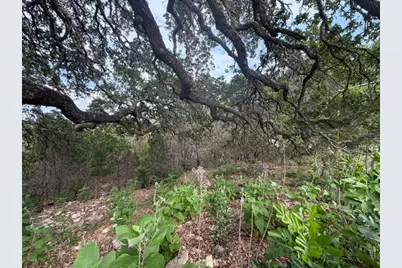 1476 Canyon Ridge Drive, Canyon Lake, TX 78133 - Photo 9