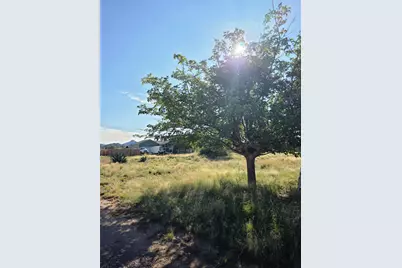 2407 Covey Lane, Alpine, TX 79830 - Photo 3