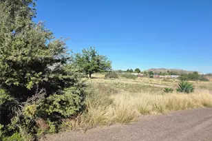 2407 Covey Ln, Alpine, TX 79830 - Photo 5