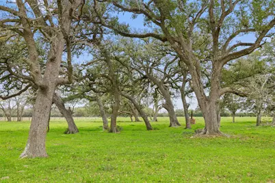 778 County Road 123, Edna, TX 77957 - Photo 19