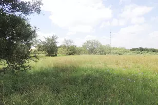 267 Linam Ln, Cedar Creek, TX 78612 - Photo 15
