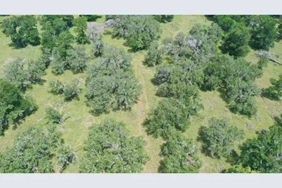 3215 County Road 305, Jarrell, TX 76537 - Photo 13