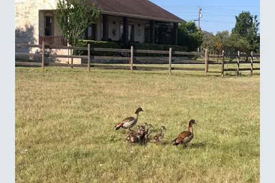 611 Post Oak Drive, Dripping Springs, TX 78620 - Photo 37