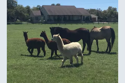611 Post Oak Drive, Dripping Springs, TX 78620 - Photo 25