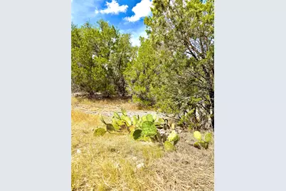 2519 George Pass, Canyon Lake, TX 78133 - Photo 3