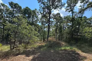 0 Hula Ln, Bastrop, TX 78602 - Photo 1