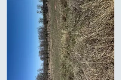 Shooting Star Lot 28 ., Lometa, TX 76853 - Photo 5