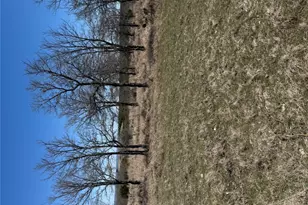 Shooting Star Lot 28, Lometa, TX 76853 - Photo 1